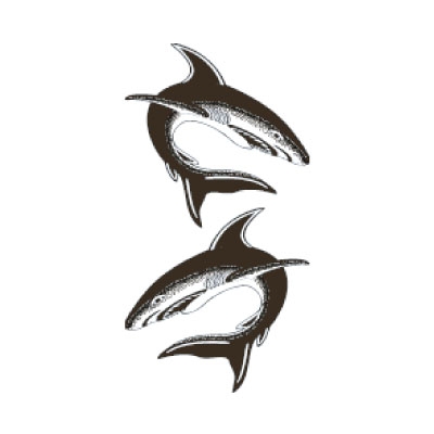 �^�g�D�[�V�[���@�L�i�^�g�D�[�E�h�V�[���j